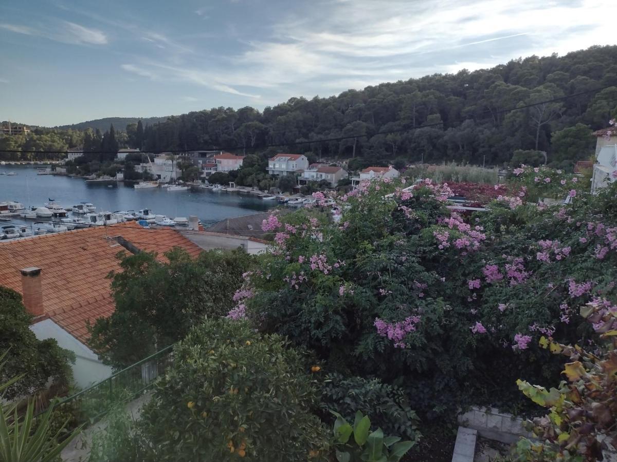 Apartman Petra *