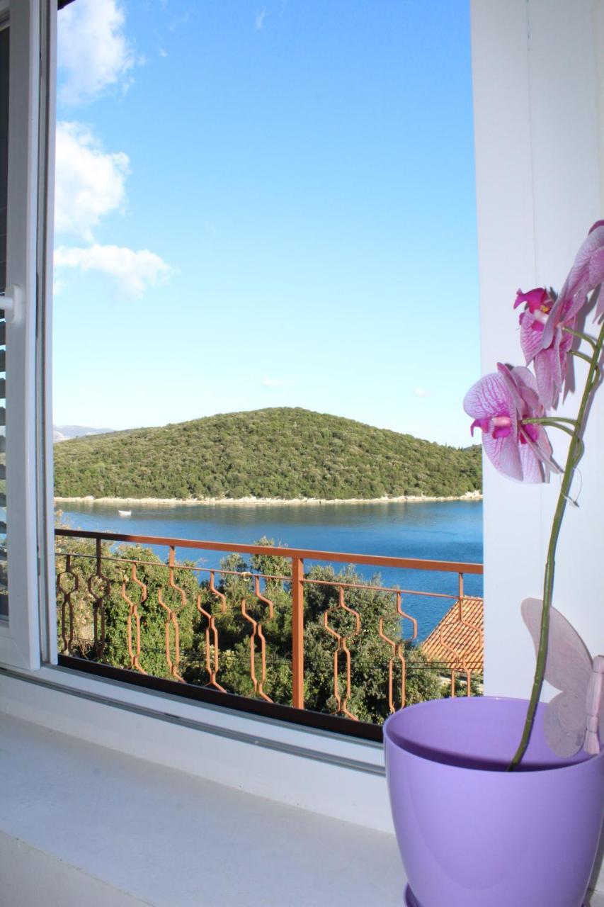 Apartman Petra *